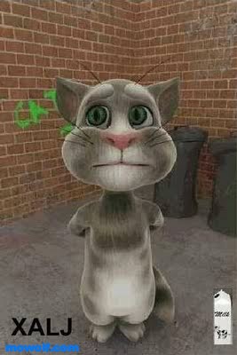 TalkingTomCat TalkingTomCat لعبة القط الناطق Talking Tom Cat لاجهزة نوكيا الجيل الخامس وسمبيان 3