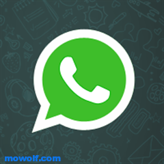 WhatsApp Messenger افضل برامج لجوالات ويندوز فون